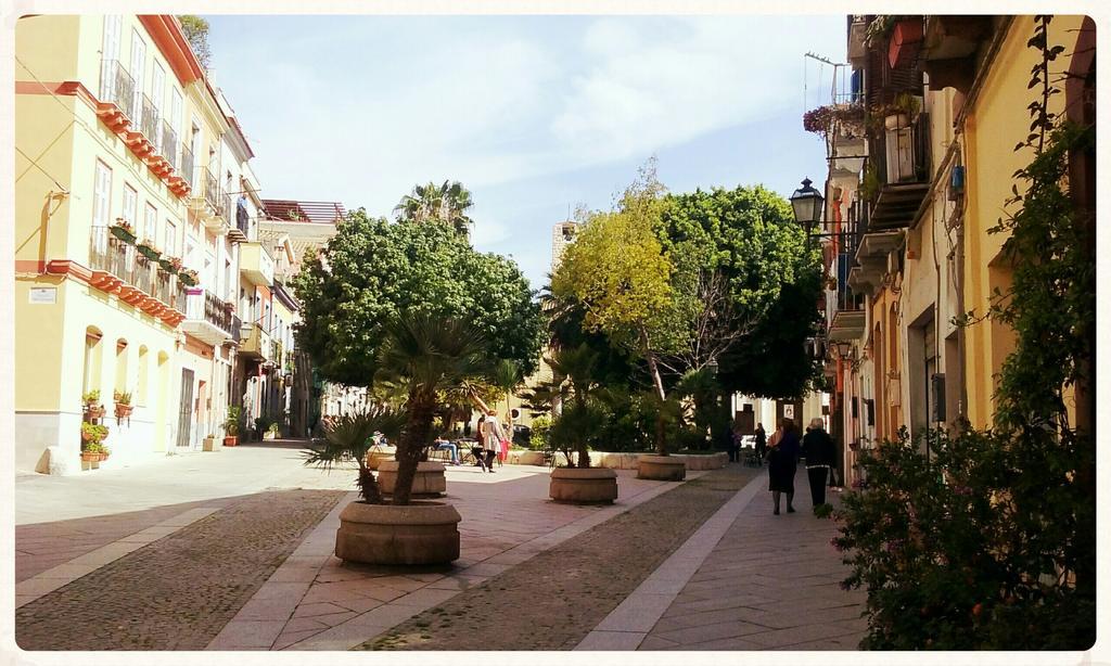 Flamingo B&B Cagliari Ngoại thất bức ảnh